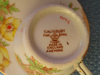 tea cup and saucer MTS