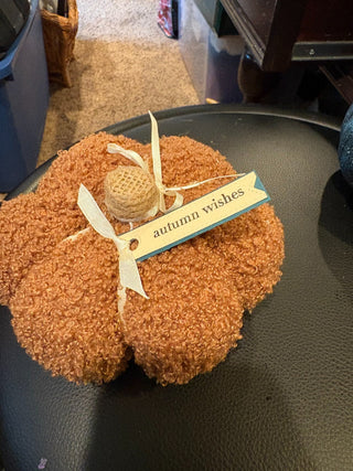 Brown Sherpa Pumpkin "Autumn Wishes" 5" x 2.5" RCD