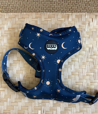 Starry Dog Harness XS MTS