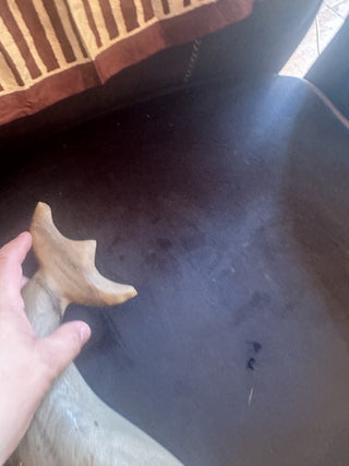 Wood Whale #47 VV MTS