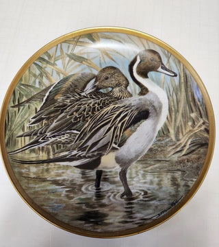 Franklin Porcelain Water Birds of the World Pintail LE Limoges Basil Ede  1981 #47 VV MTS