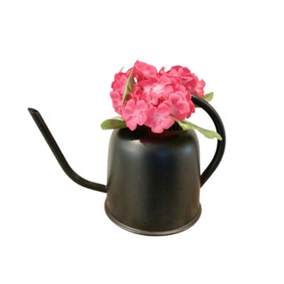 BLK WATER CAN W/FLOWERS