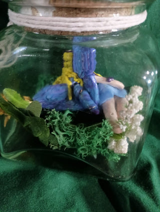 Adopt a Fairy Jar Rsv