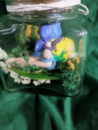 Adopt a Fairy Jar Rsv