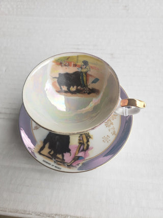 Tea cup and saucer RCD
