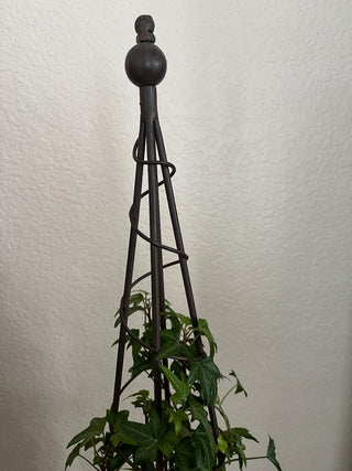 LIVE ENGLISH IVY TOPIARY WITH BRONZED METAL FORM 22.5 X 5 TOP CAN BE REMOVED (KJS) RCD|71887