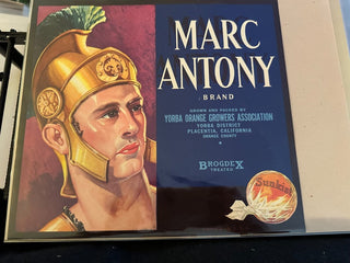 Marc Antony Authentic Citrus Farm Crate Label EC060 MTS