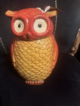 Gibson Home Multicolor Ceramic Owl Cookie Jar #62 VV MTS