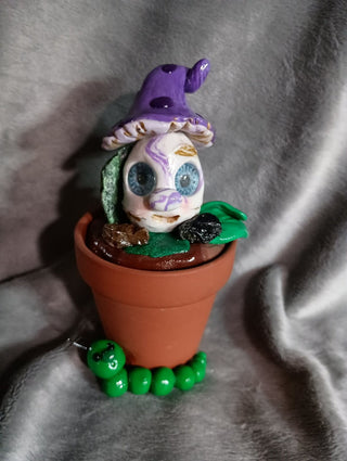 Fungi Hida-a-pot rsv