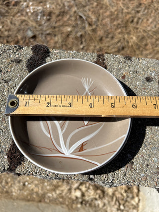 12F Vintage Set of 2 Winfield “Desert Dawn” Plates MTS|76765