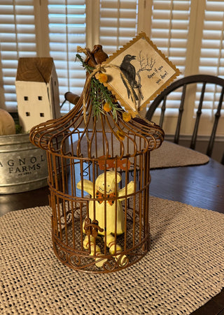 Boo Ghost in a Wire Cage RSV|112217