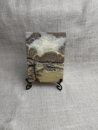 Polished Picture Jasper Slab w/ black stand|52539