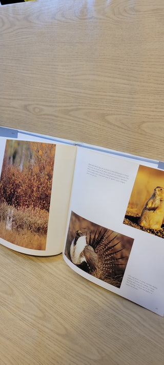 JMD- "Yellowstone & Grand Teton" Book