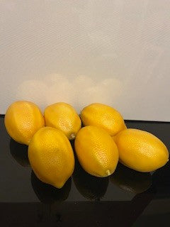 #1843 Artificial Lemon