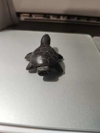 Turtle whistle