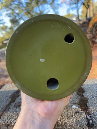 JP Pier One decorative botanical pillar candle featuring embedded olive-green pedestal holder