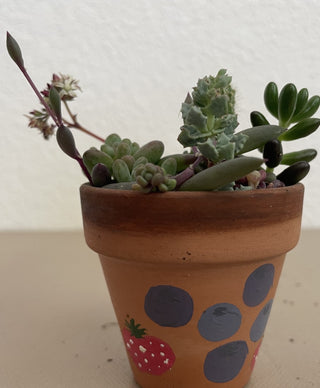 Handpainted Berry 2in Terra Cotta MTS|70917