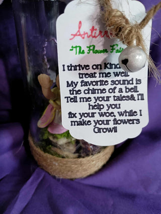 Fairy Jar Tall rsv|92153