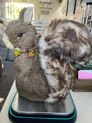 Fall Squirrel|110253