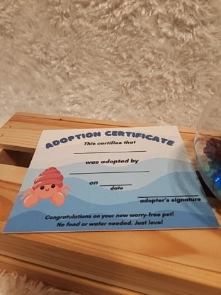 Aquatic Worry-free Pet: Hermit Crab- gray, dark red, round aquarium, gems, adoption certificate