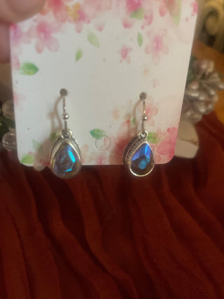 Silver tone earrings-RSV
