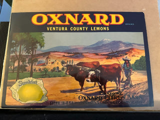 Oxnard Authentic Citrus Farm Crate Label EC069 MTS|100349
