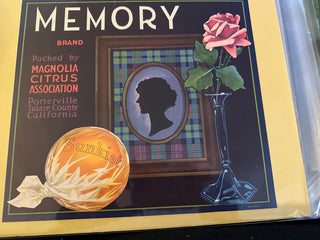 Memory Authentic Citrus Farm Crate Label EC062 MTS