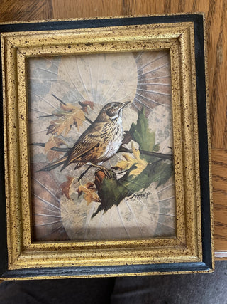 Vintage Bird print 4x5 RCD|62781
