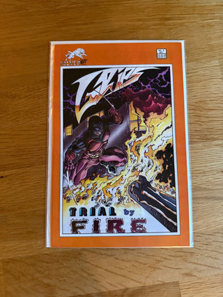 Comic Book: Trial by Fire Issue 4