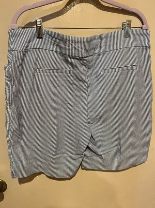 Hillary Radley Blue and White Striped Shorts (XL) RSV|82426
