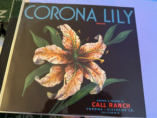 Corona Lily Authentic Citrus Farm Crate Label EC014 MTS|100244
