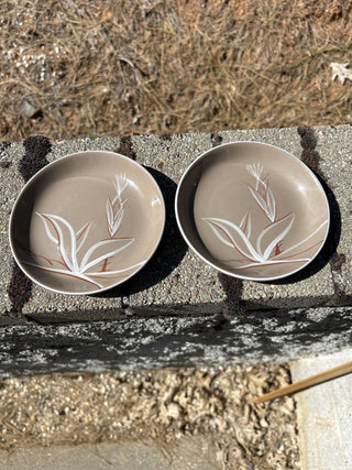 12F Vintage Set of 2 Winfield “Desert Dawn” Plates MTS|76766