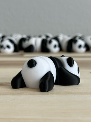 Wiggly Panda RV