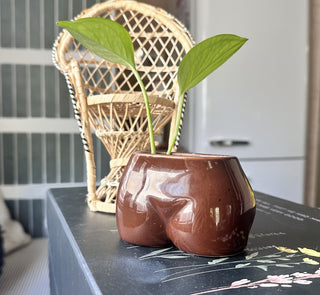 Tush Vase with Plant by UO (LZD - RSV)|86212