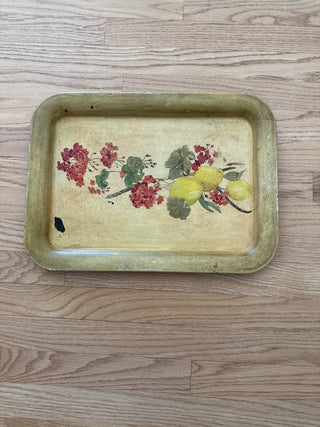 AJ - Painted Metal Tray MTS