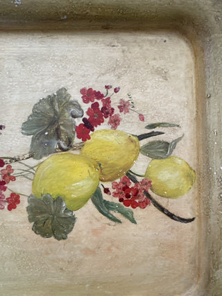 AJ - Painted Metal Tray MTS