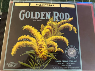 Golden Rod Authentic Citrus Farm Crate Label EC032 MTS|100285