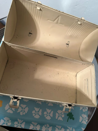 Lunch Box Vintage Hand Painted MTS|119967