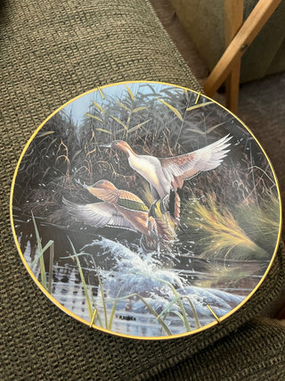 AIRBORNE Plate Free As The Wind Michael Budden #3 DucksThird Issue Knowles|145399