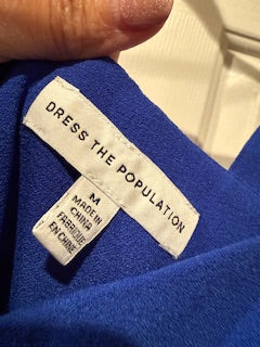 Dress the Population blue dress