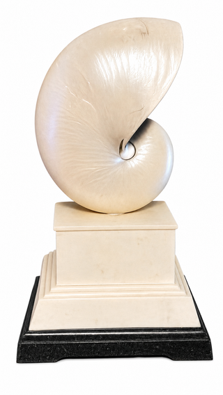 MG vintage polished Chambered Nautilus shell sculpture on stand