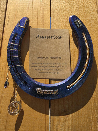 Aquarius Zodiac Decorated Horseshoe