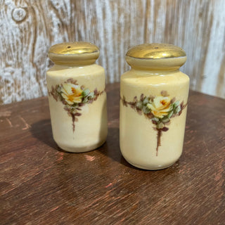 Vtg Salt & Pepper Set, Hand Painted Roses--SP