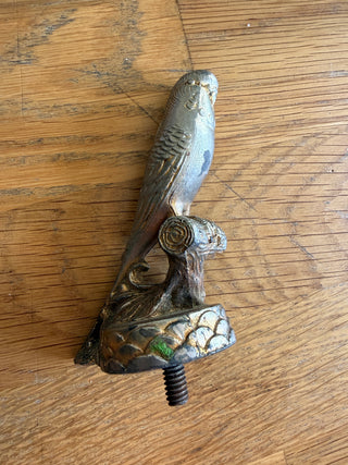 Metal Parakeet