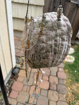 Suncatcher Mermaid Abalone