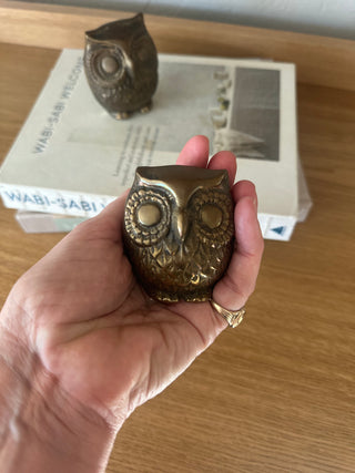 VTG brass owl/2.5 inch MTS