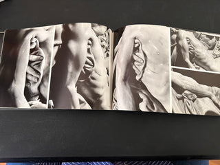 Michelangelo: Pietà, by Robert Hupka