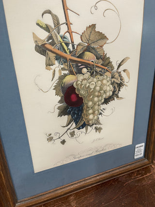 18"x13.5" Framed Grapes & Peaches Print, Prevost--SP RCD