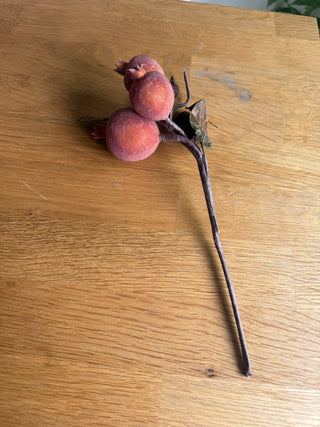 Frosted Pomagranate Stem