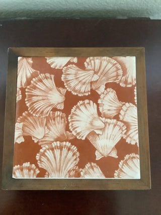 Hot Plate Sea shell Pattern Seace Porcelain